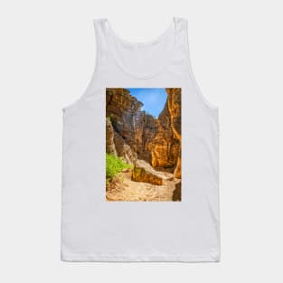 Lick Wash Trail Hike Tank Top